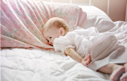일본의 전통행사 - 아기를 굴려서 건강을 기원하는 축제