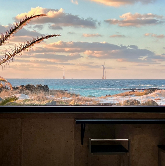 9월 제주도 가볼만한 곳 BEST 10 (할인 꿀팁!)