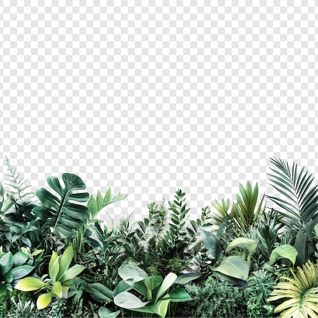 etc-image-22