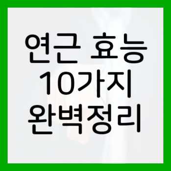 연근-효능-대표-사진