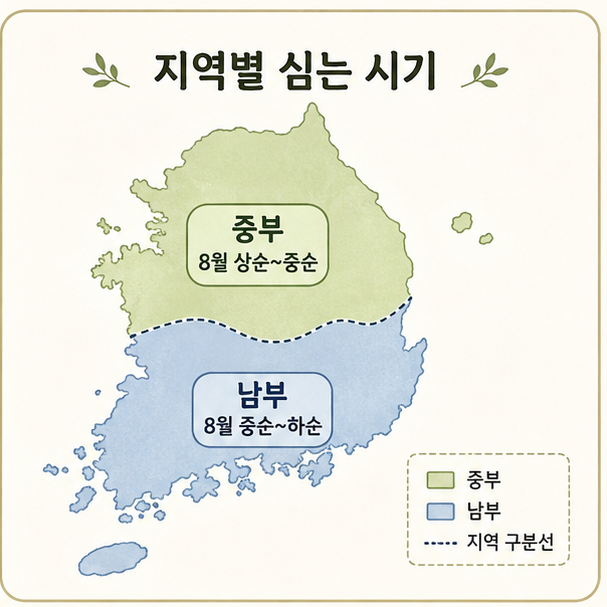 중부 8월 상순~중순과 남부 8월 중순~하순의 가을감자 파종 시기를 비교한 이미지