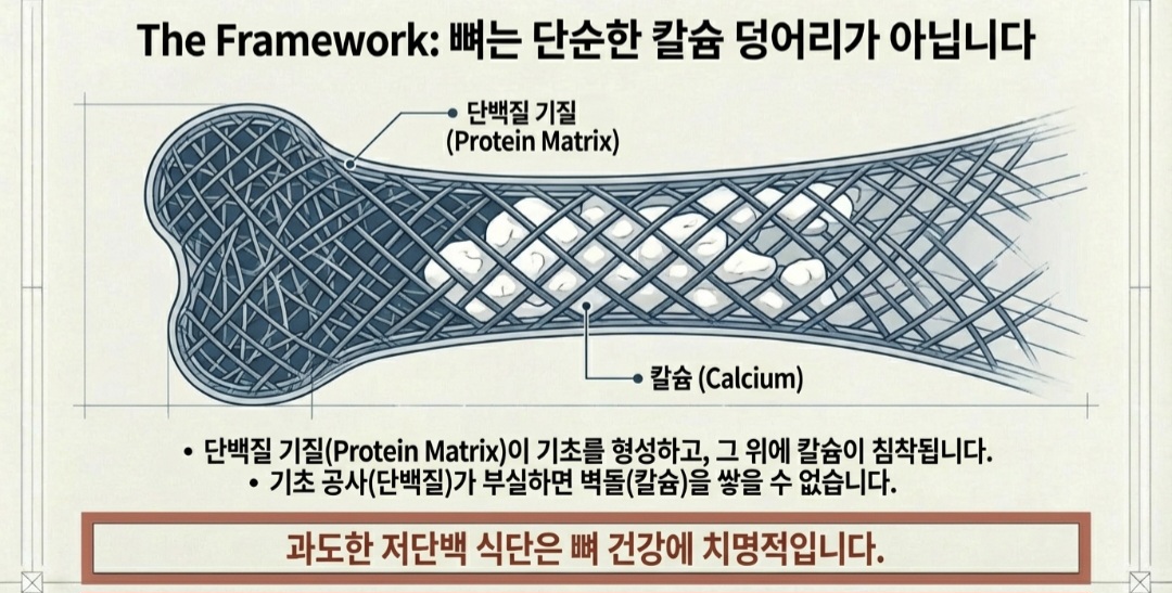 골다공증음식-사진4