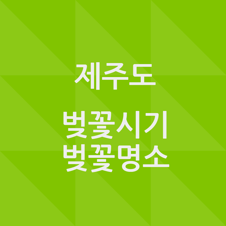 제주도 벚꽃 개화시기