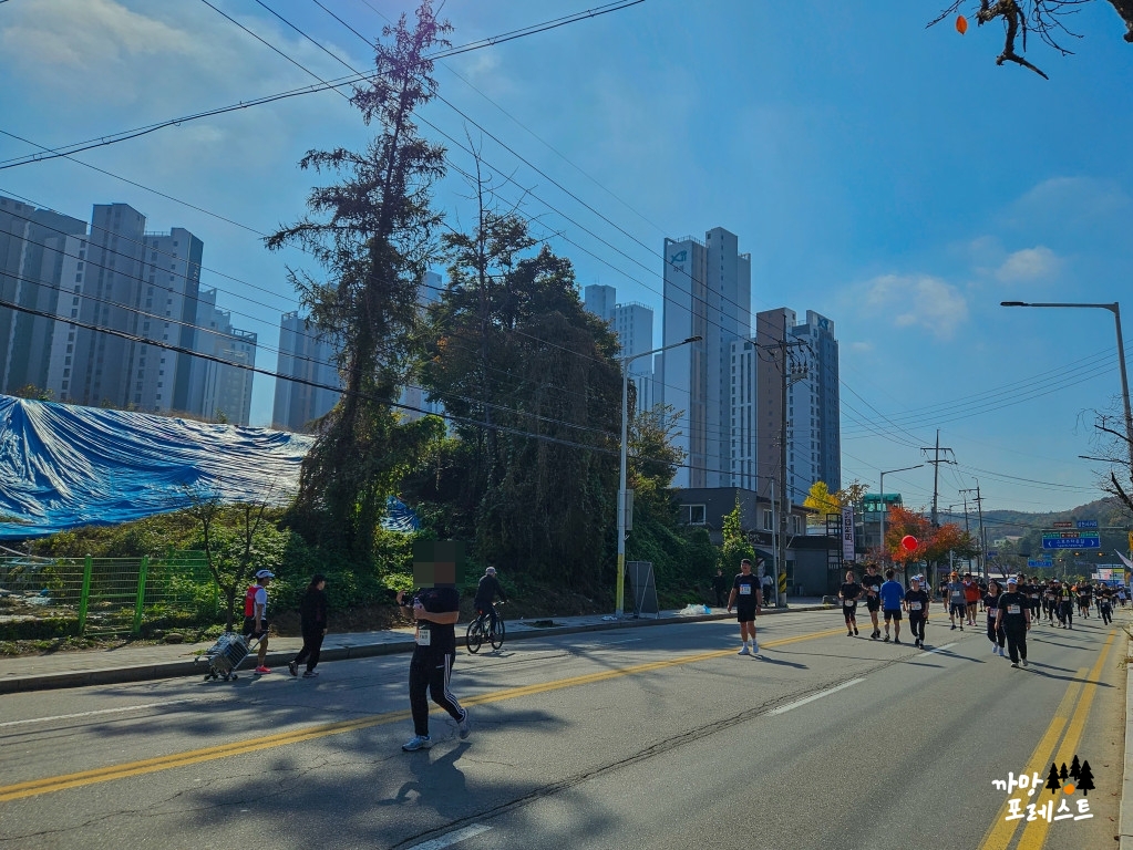 춘천 마라톤 뛰어가기