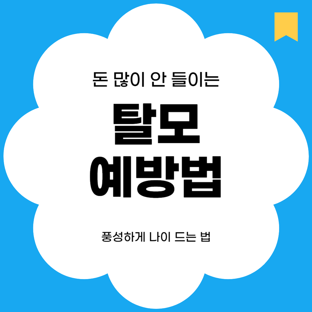 돈 많이 안 들고 관리하는 탈모 예방법