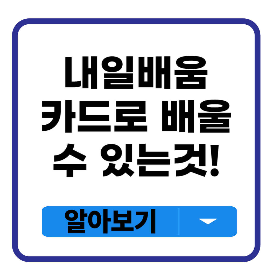 내일배움카드로 배울수 있는것