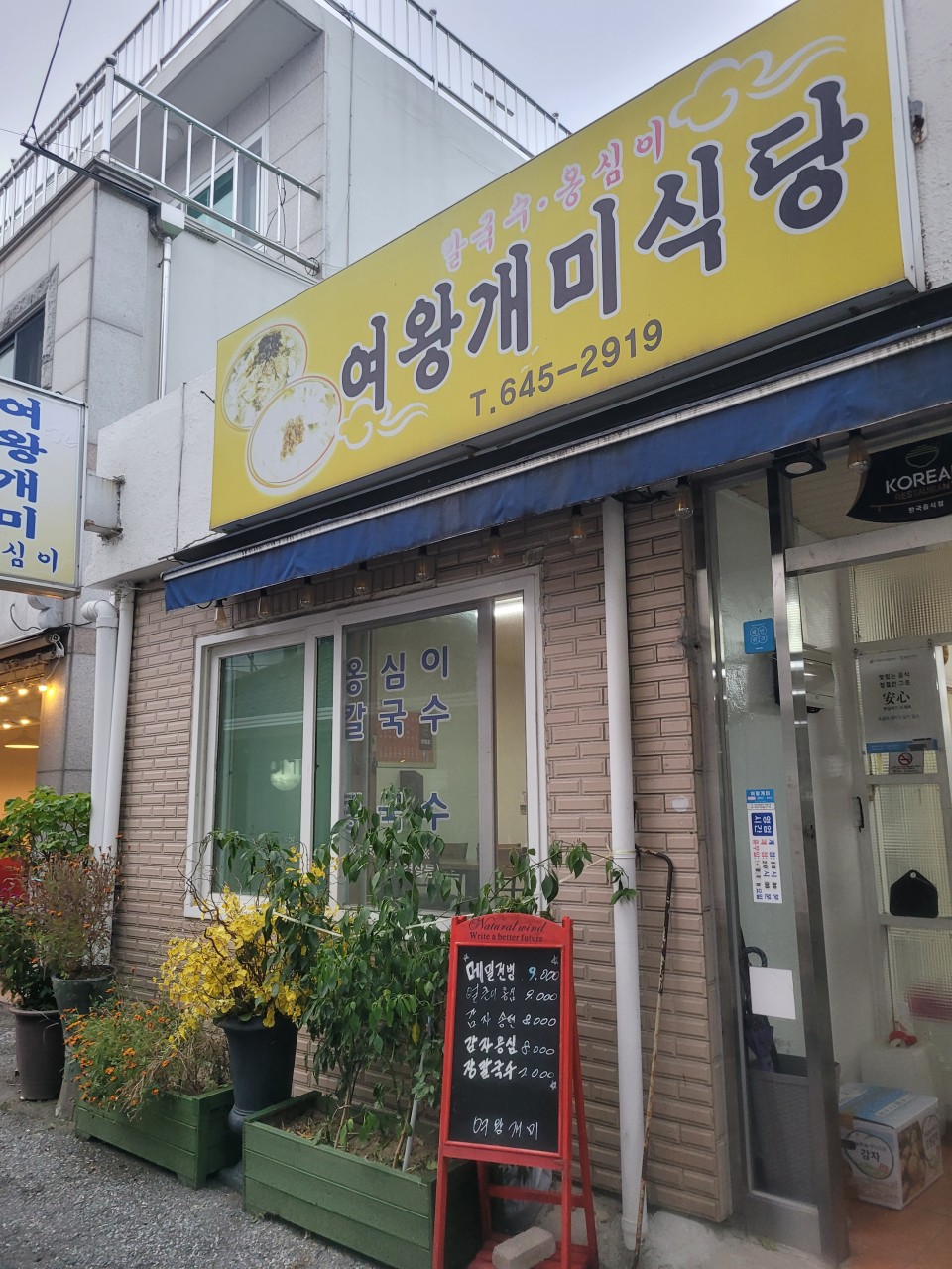 강릉중앙시장 맛집 추천 : 먹거리 투어&amp;#44; 강릉 찐 맛집 투어!?