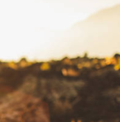 아침 스트레칭 효과