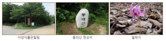 오대산 동대산 코스