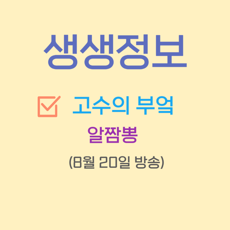 생생정보 고수의 부엌