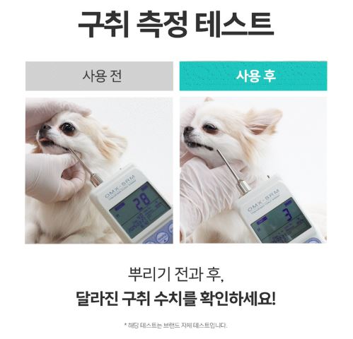 바이랩 덴탈 스프레이 구치 측정 테스트