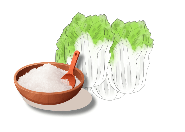 배추와-소금