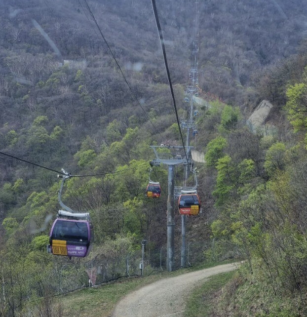 발왕산 케이블카 요금 및 예약 최신 정보 총정리