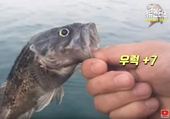 웜낚시 노하우 배스 저수지 바닥층 스테이와 라인 텐션 유지_34