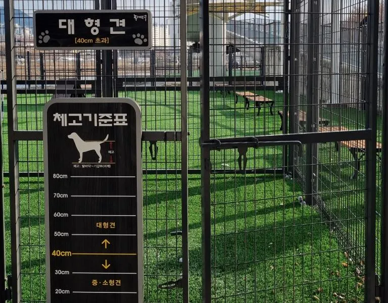 동대문구 반려견 놀이터__