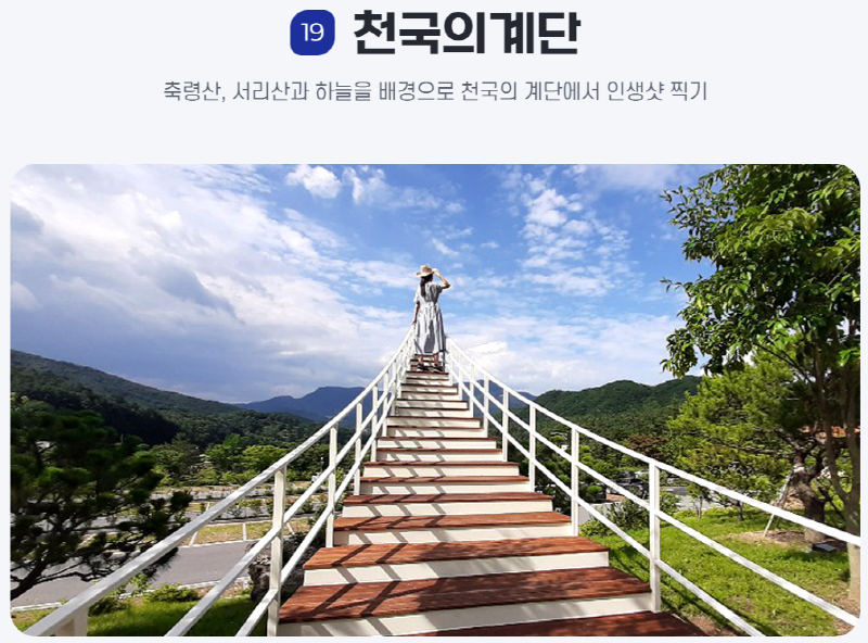 물맑음 수목원