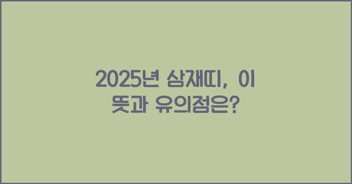 2025년 삼재띠