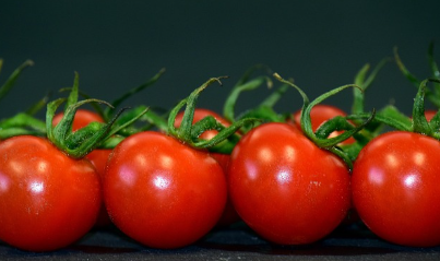 멍이 빨리 없어지는 마법의 성분? 비타민 K!
