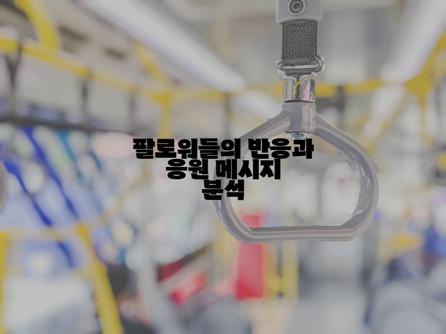 팔로워들의 반응과 응원 메시지 분석