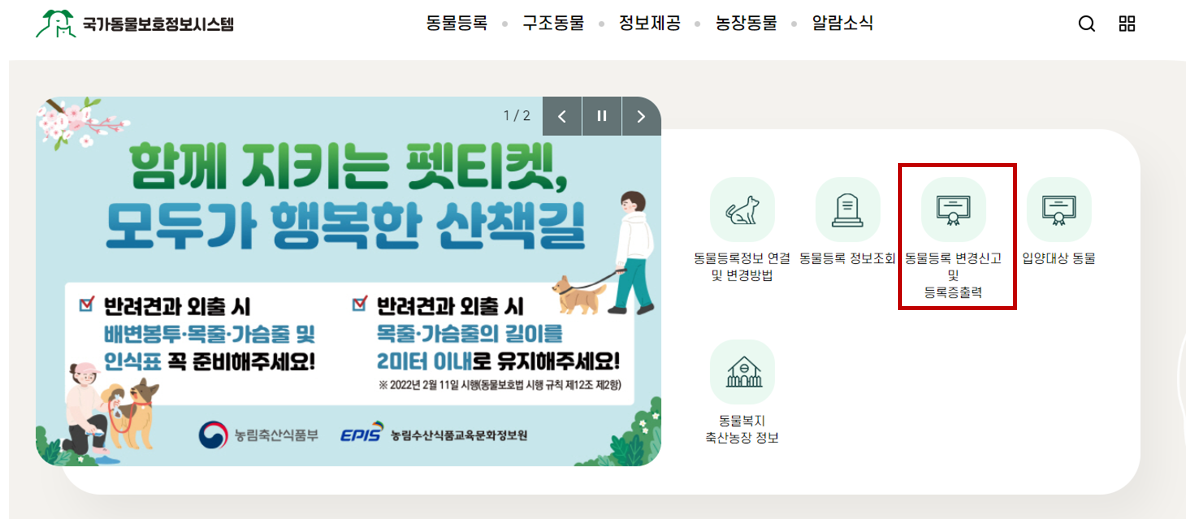 동물등록번호 발급 및 조회