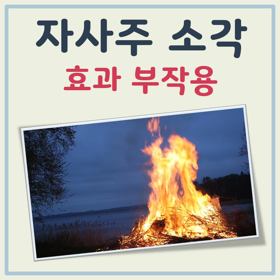자사주 소각 효과 부작용 대표 이미지