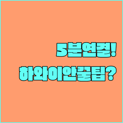 하와이안 항공 상담사 연결 5분 안에..