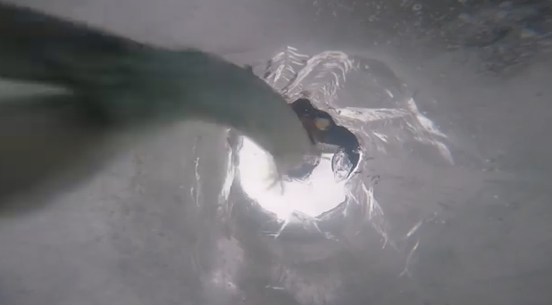 2025얼음나라화천 산천어축제(Hwacheon Sancheoneo Ice festival)