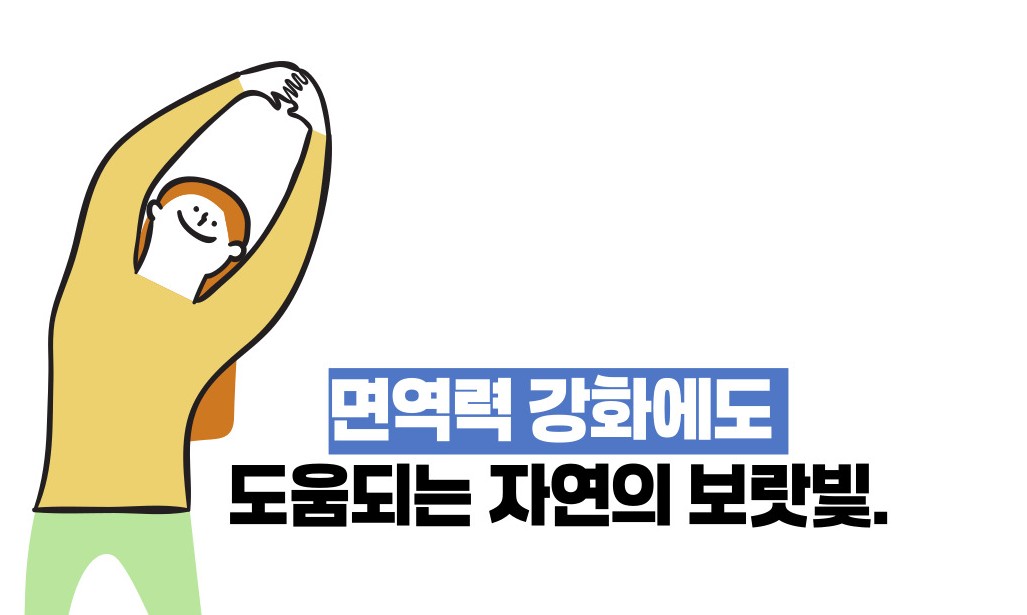 블루베리 효능 부작용