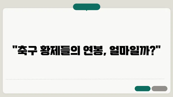 축구선수 연봉순위