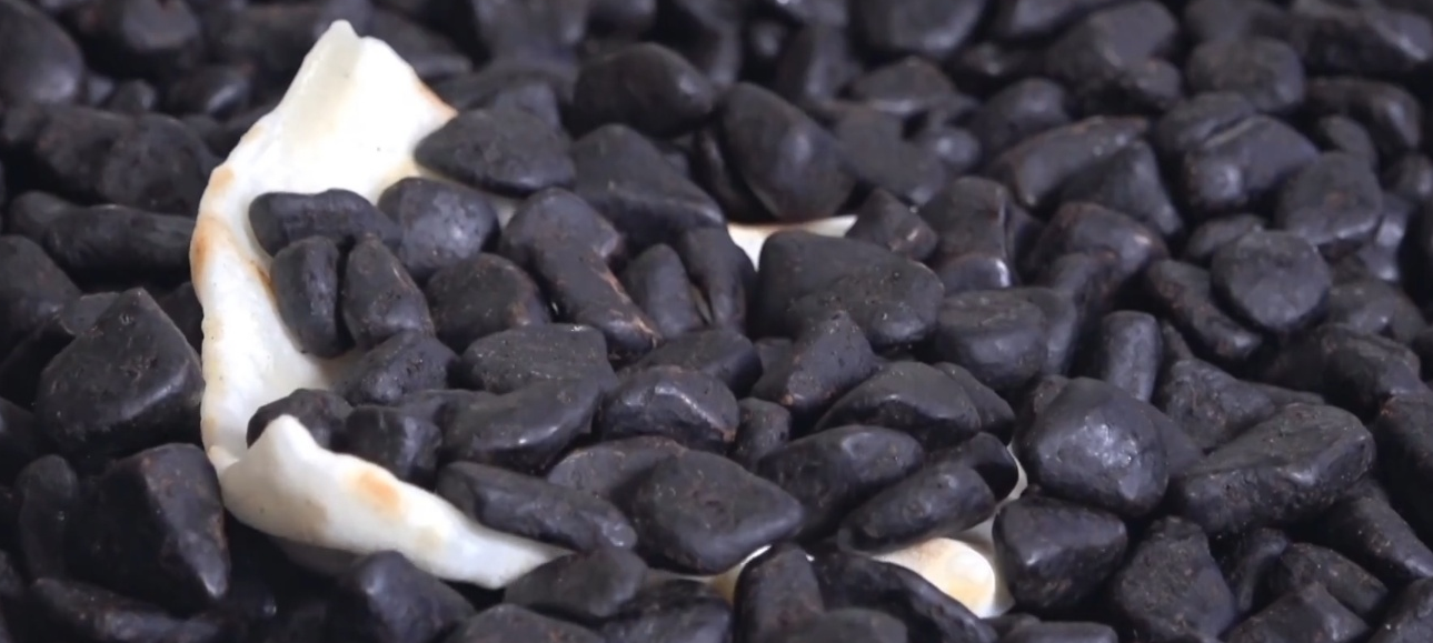 극한직업 자갈한과