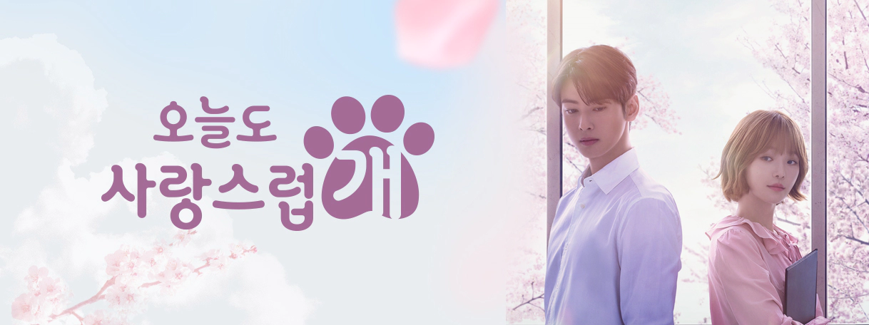 오늘도 사랑스럽개