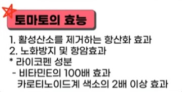 토마토의 효능