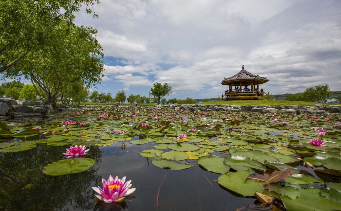 2025 건강도시 스탬프 투어
