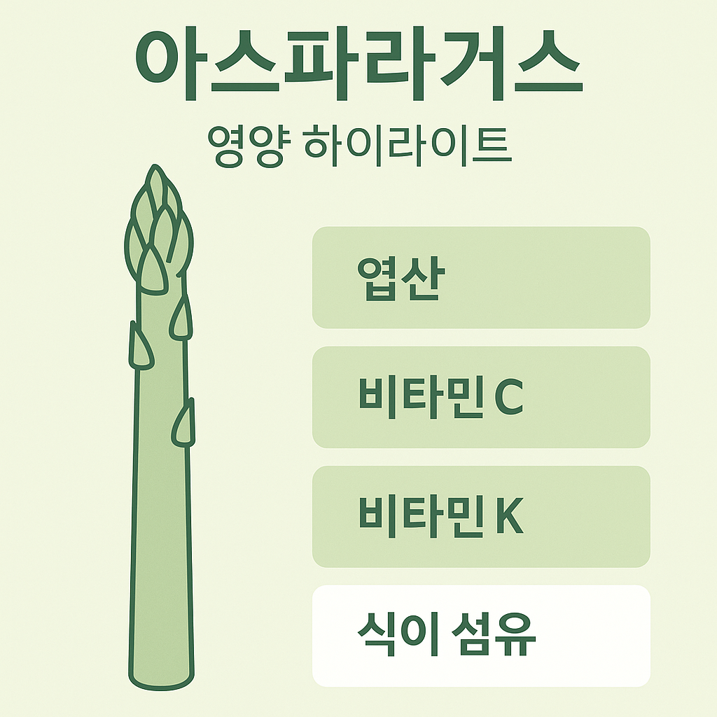 아스파라거스 영양 포인트