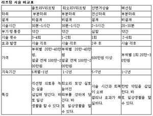 미니 리프팅 가격