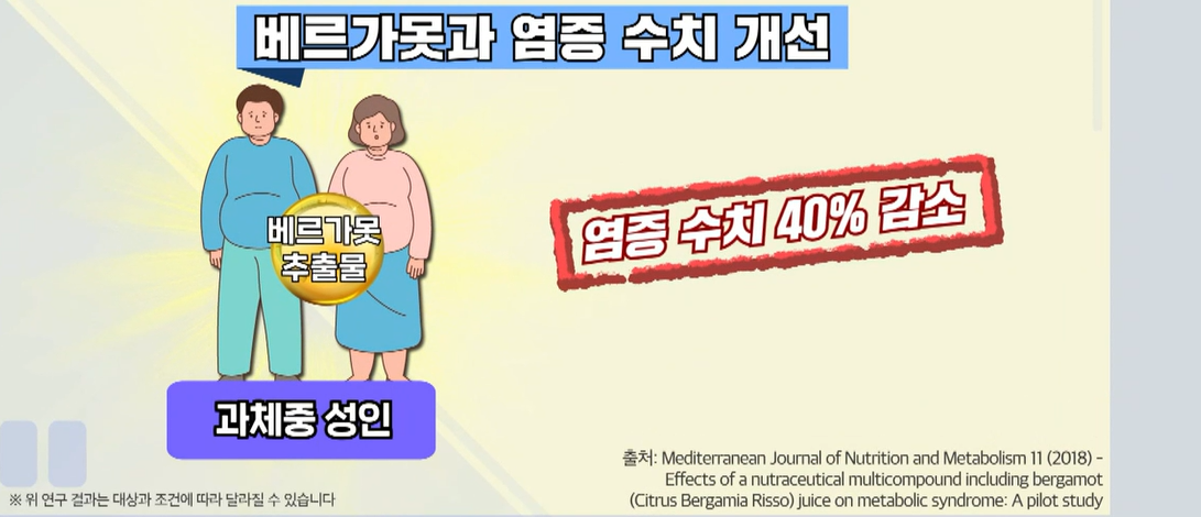 베르가못 효능