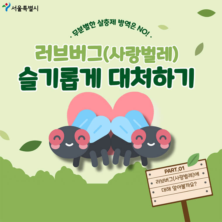러브 버그