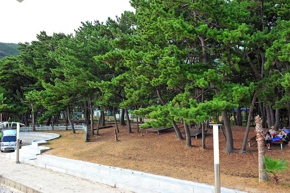 경상남도 남해군 송정솔바람야영장