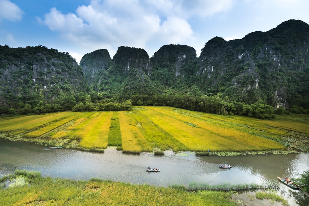 Vietnam Land Investment Outlook