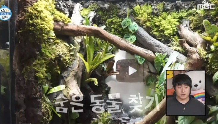 비바리움-파충류