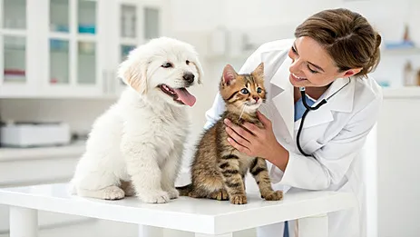 반려동물도 항암&middot;만성질환 치료 받는다