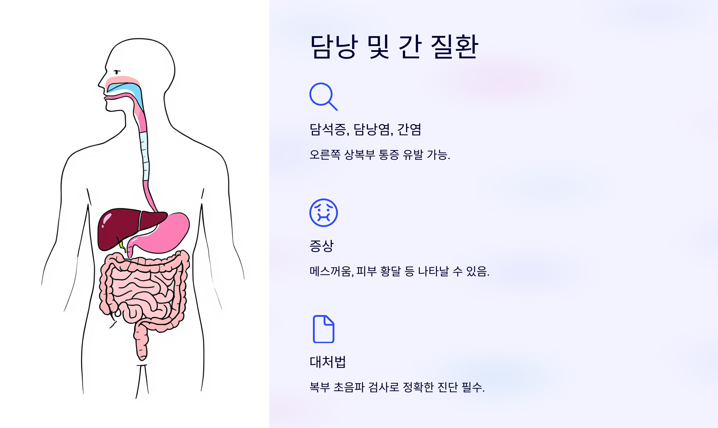 오른쪽 가슴 통증 담낭 및 간 질환