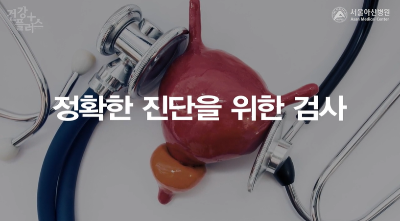 전립선비대증 원인