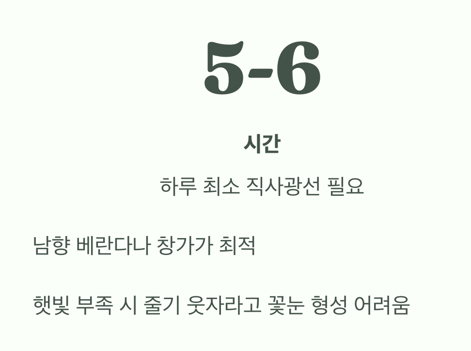 햇빛, 많을수록 좋아요