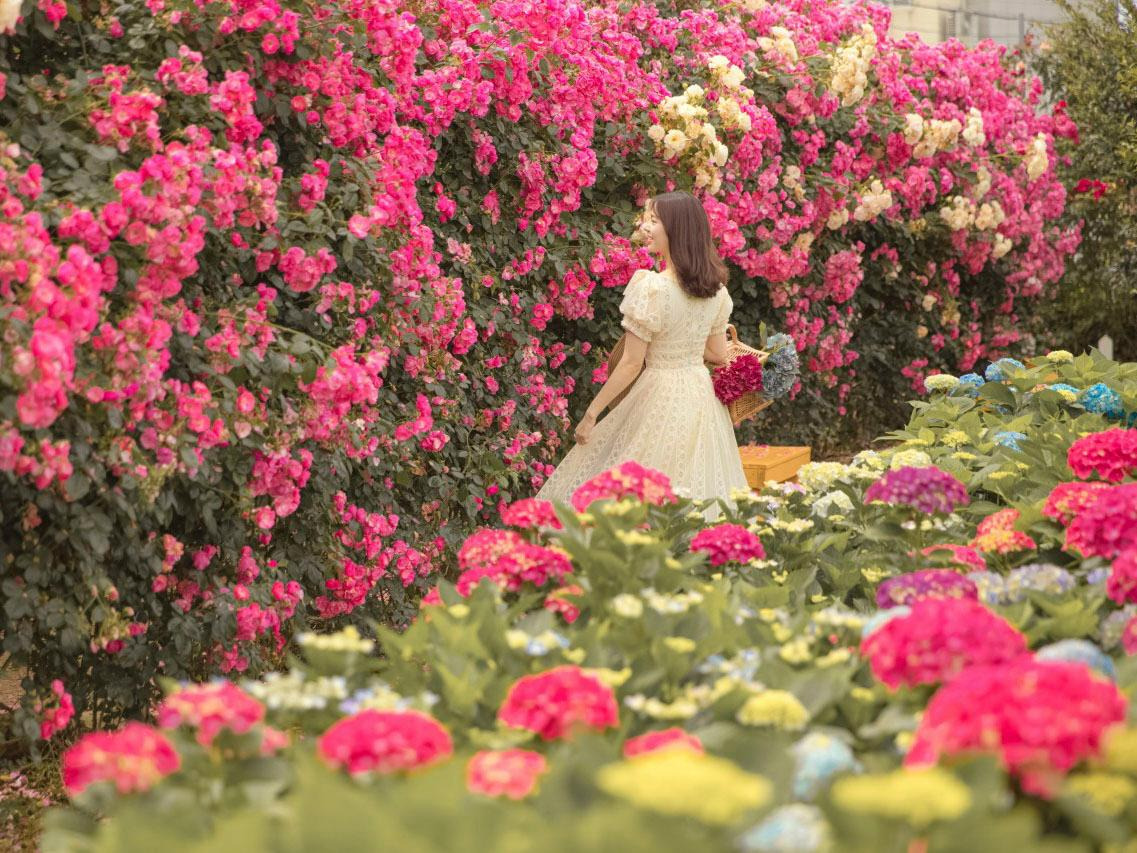 관련 여행지 사진이미지