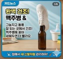  운동화 세탁법