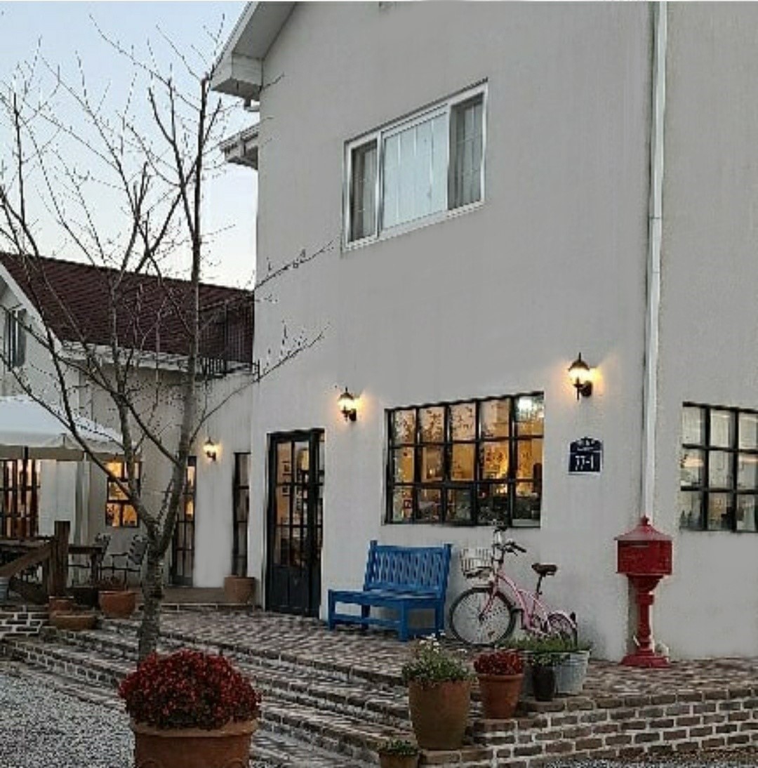 올리브