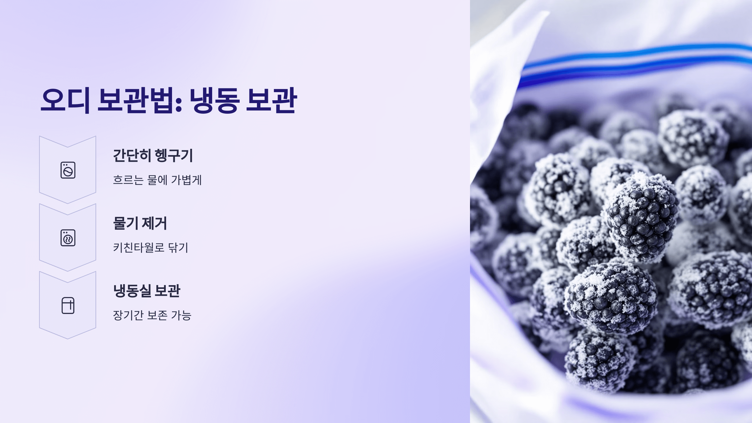 오디 사진입니다.