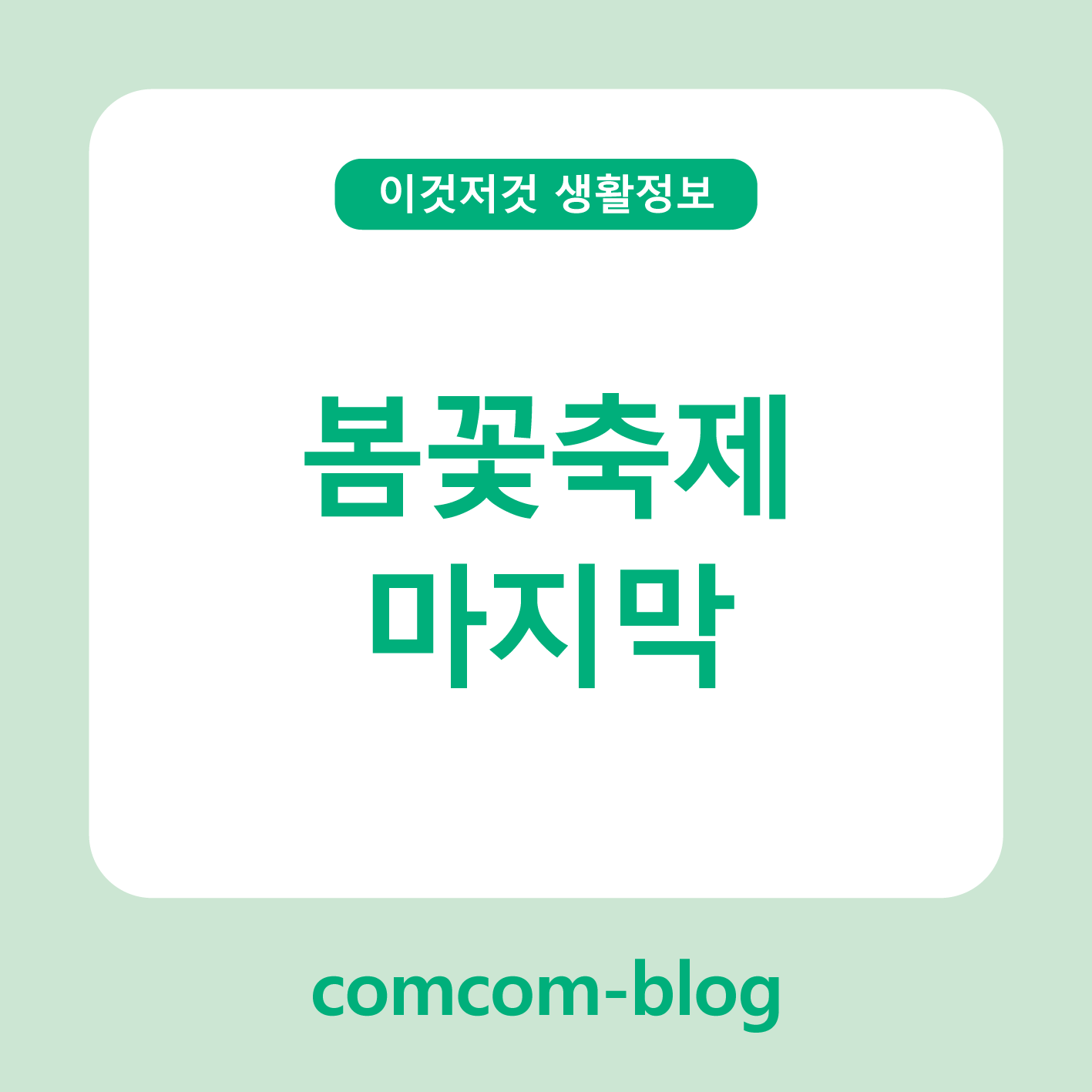 봄의 끝자락, 꽃길을 걷는 마지막 축제의 순간🌸