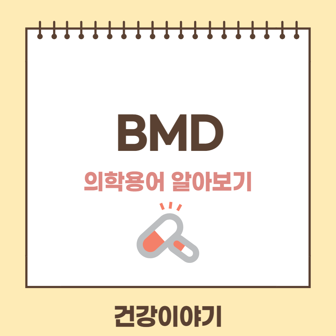 의학용어 BMD에 대해